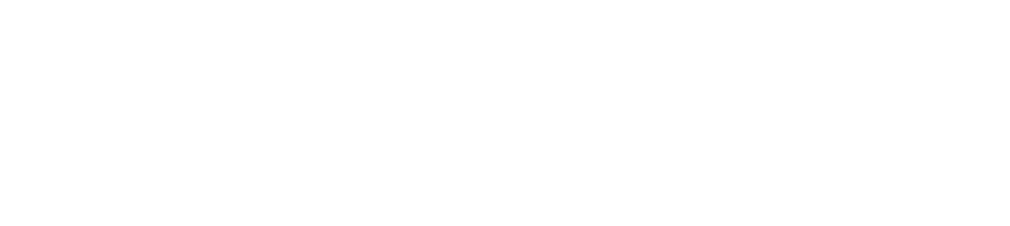 TIGUS Consulting