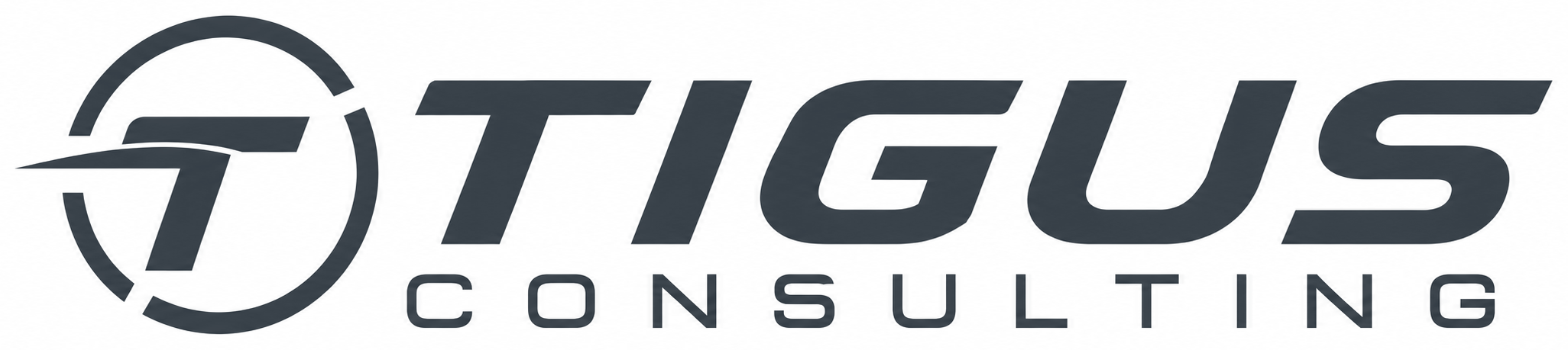 TIGUS Consulting
